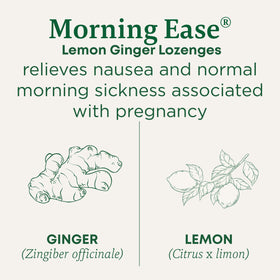 Morning ease lemon ginger lozenges relieves nausea and normal morning sickness associated with pregnancy